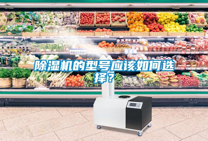 除濕機(jī)的型號(hào)應(yīng)該如何選擇？