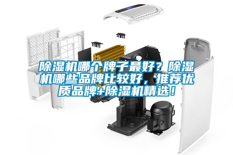 除濕機(jī)哪個(gè)牌子最好？除濕機(jī)哪些品牌比較好，推薦優(yōu)質(zhì)品牌+除濕機(jī)精選！