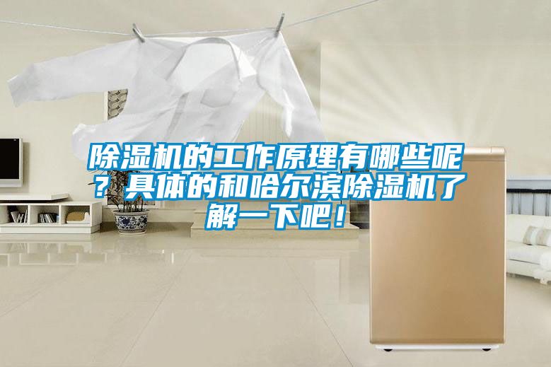 除濕機(jī)的工作原理有哪些呢？具體的和哈爾濱除濕機(jī)了解一下吧！