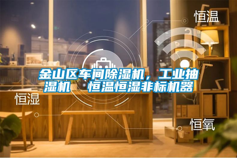 金山區(qū)車間除濕機(jī)，工業(yè)抽濕機(jī)  恒溫恒濕非標(biāo)機(jī)器
