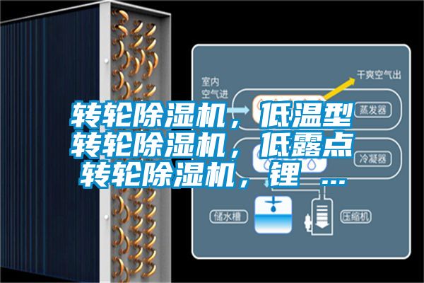 轉(zhuǎn)輪除濕機(jī)，低溫型轉(zhuǎn)輪除濕機(jī)，低露點(diǎn)轉(zhuǎn)輪除濕機(jī)，鋰 ...