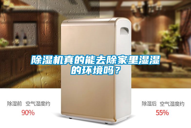 除濕機(jī)真的能去除家里濕濕的環(huán)境嗎？