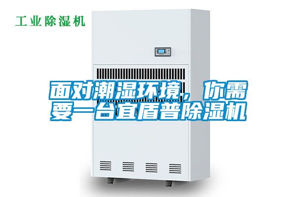 面對(duì)潮濕環(huán)境，你需要一臺(tái)宜盾普除濕機(jī)
