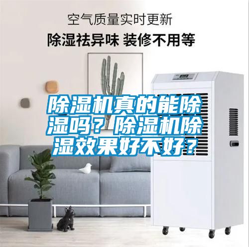 除濕機(jī)真的能除濕嗎？除濕機(jī)除濕效果好不好？
