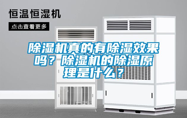 除濕機真的有除濕效果嗎？除濕機的除濕原理是什么？