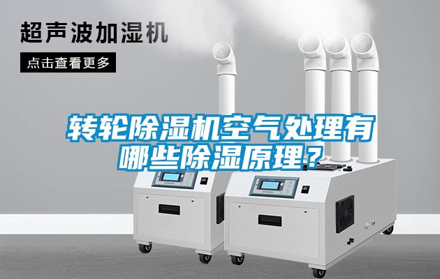 轉(zhuǎn)輪除濕機(jī)空氣處理有哪些除濕原理？