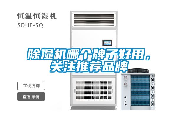 除濕機哪個牌子好用，關注推薦品牌