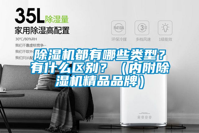 除濕機(jī)都有哪些類型？有什么區(qū)別？（內(nèi)附除濕機(jī)精品品牌）
