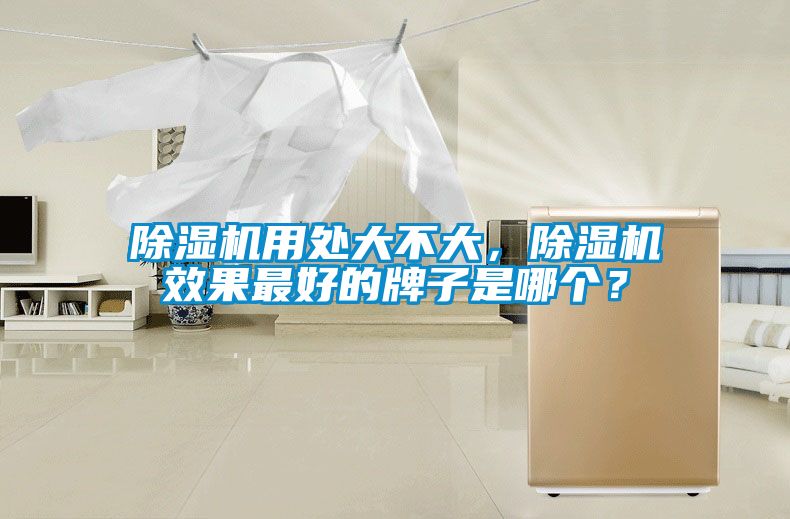 除濕機用處大不大，除濕機效果最好的牌子是哪個？