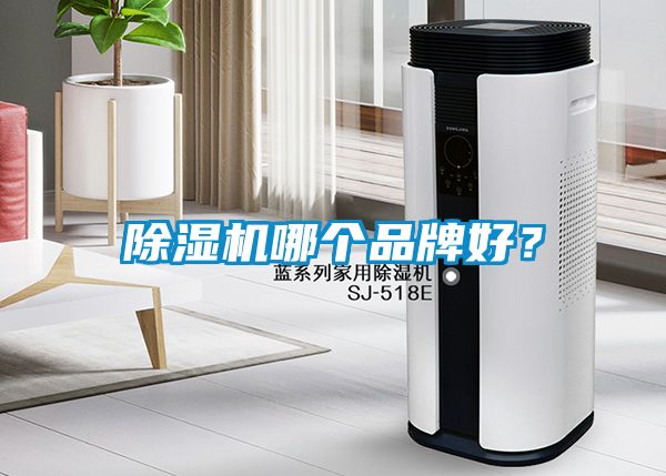 除濕機(jī)哪個(gè)品牌好？