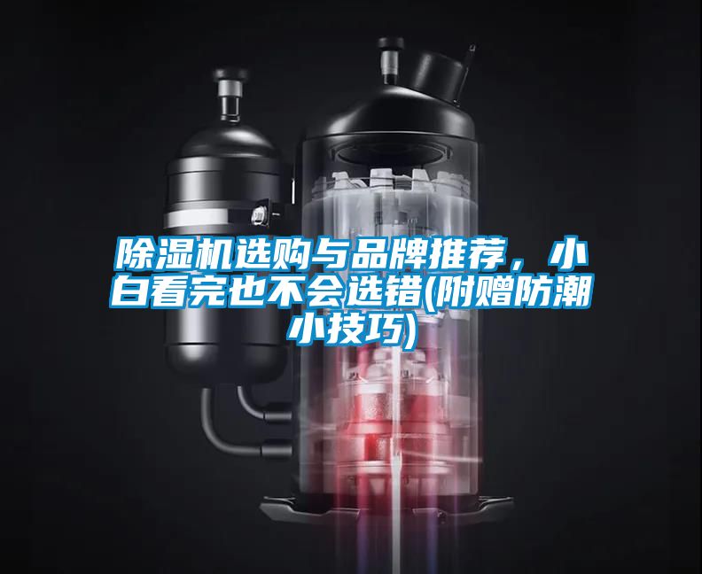 除濕機(jī)選購與品牌推薦，小白看完也不會選錯(附贈防潮小技巧)