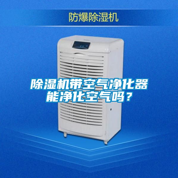 除濕機(jī)帶空氣凈化器能凈化空氣嗎？