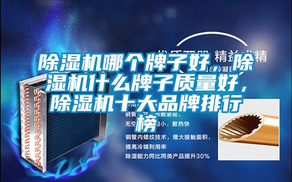 除濕機(jī)哪個(gè)牌子好，除濕機(jī)什么牌子質(zhì)量好，除濕機(jī)十大品牌排行榜