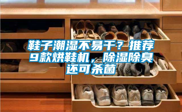鞋子潮濕不易干？推薦9款烘鞋機(jī)，除濕除臭還可殺菌
