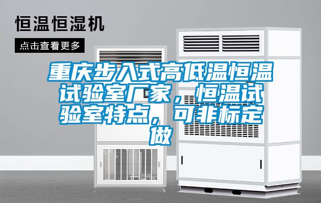重慶步入式高低溫恒溫試驗室廠家，恒溫試驗室特點，可非標定做