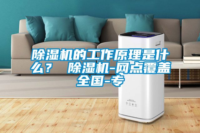 除濕機的工作原理是什么？ 除濕機-網(wǎng)點覆蓋全國-專