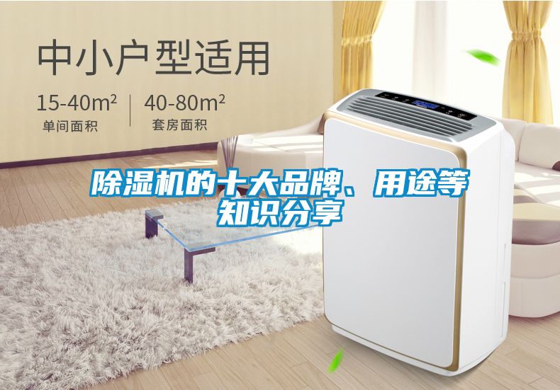 除濕機的十大品牌、用途等知識分享