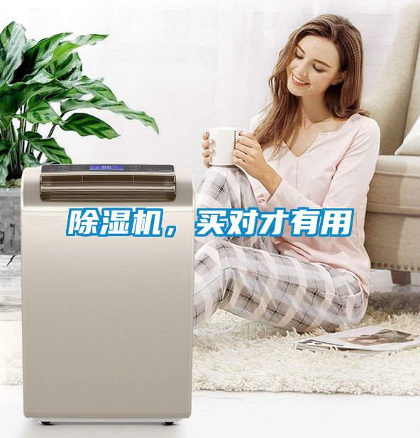 除濕機，買對才有用