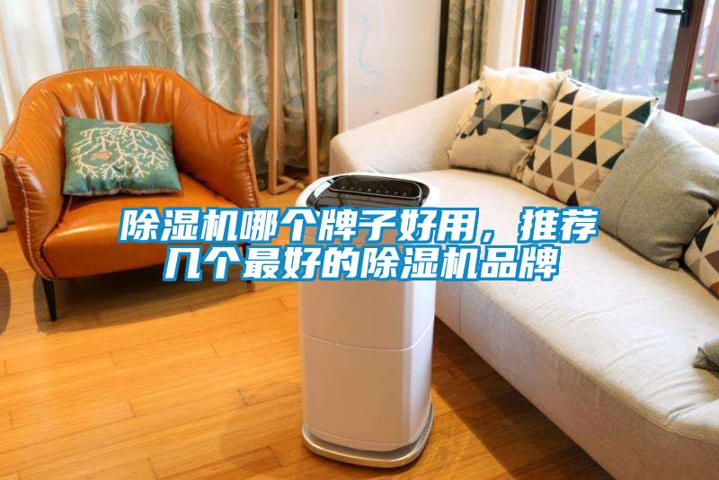 除濕機(jī)哪個(gè)牌子好用，推薦幾個(gè)最好的除濕機(jī)品牌