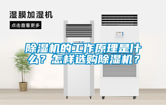 除濕機(jī)的工作原理是什么？怎樣選購(gòu)除濕機(jī)？