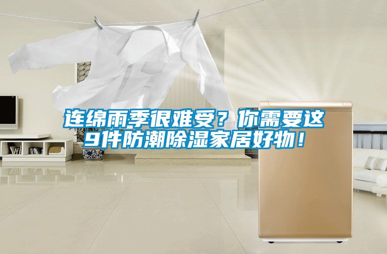 連綿雨季很難受？你需要這9件防潮除濕家居好物！