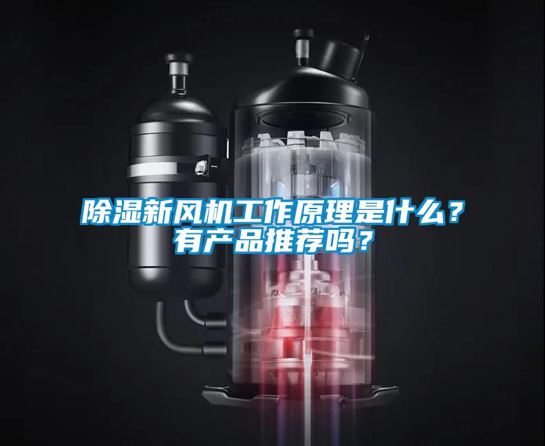 除濕新風(fēng)機(jī)工作原理是什么？有產(chǎn)品推薦嗎？