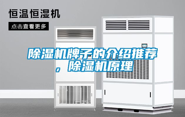 除濕機(jī)牌子的介紹推薦，除濕機(jī)原理