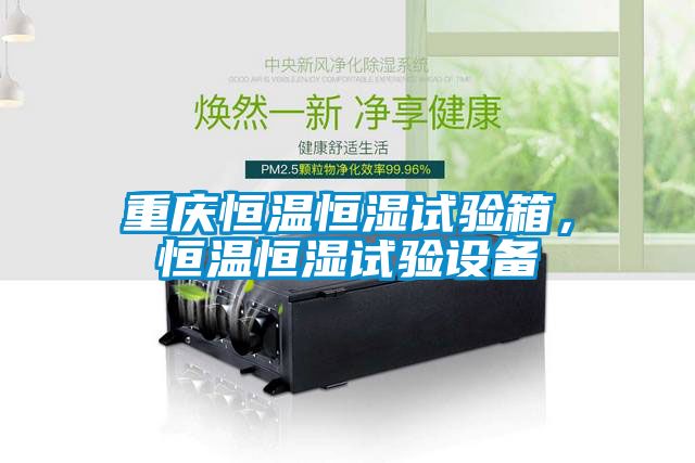 重慶恒溫恒濕試驗(yàn)箱，恒溫恒濕試驗(yàn)設(shè)備