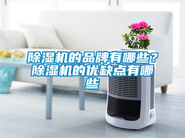 除濕機的品牌有哪些？除濕機的優(yōu)缺點有哪些