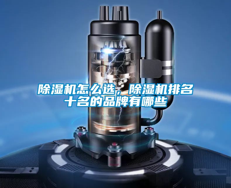 除濕機怎么選，除濕機排名十名的品牌有哪些