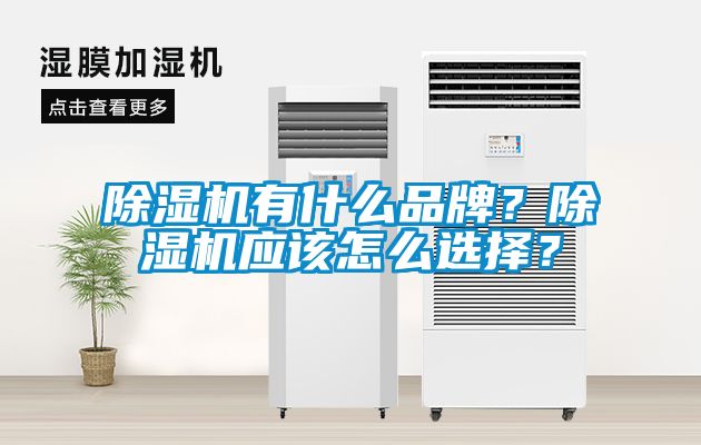 除濕機(jī)有什么品牌？除濕機(jī)應(yīng)該怎么選擇？