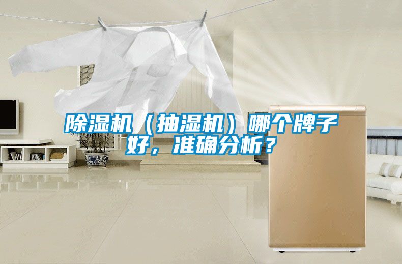 除濕機(jī)（抽濕機(jī)）哪個(gè)牌子好，準(zhǔn)確分析？