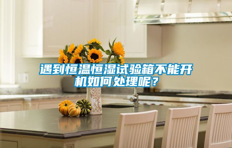 遇到恒溫恒濕試驗(yàn)箱不能開機(jī)如何處理呢？
