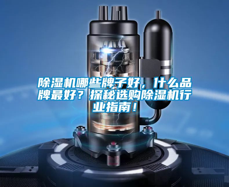 除濕機(jī)哪些牌子好，什么品牌最好？探秘選購(gòu)除濕機(jī)行業(yè)指南！