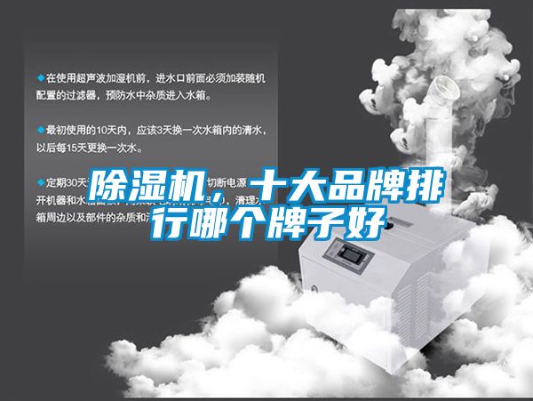 除濕機，十大品牌排行哪個牌子好