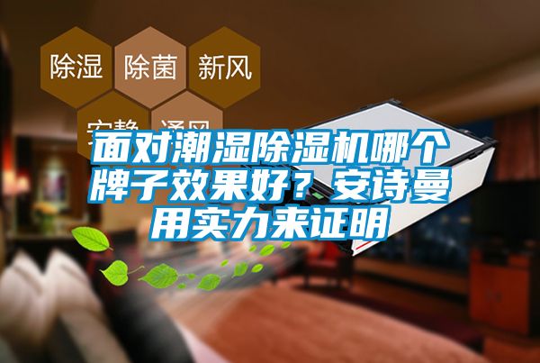面對(duì)潮濕除濕機(jī)哪個(gè)牌子效果好？安詩(shī)曼用實(shí)力來證明