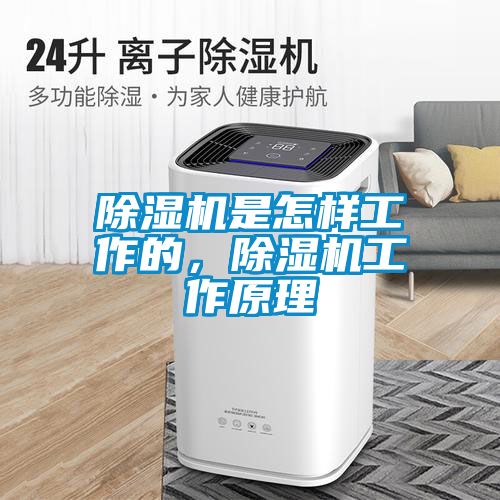 除濕機是怎樣工作的，除濕機工作原理