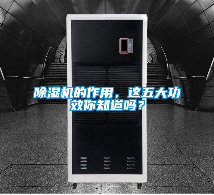 除濕機(jī)的作用，這五大功效你知道嗎？