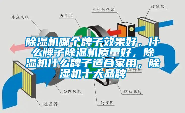 除濕機(jī)哪個(gè)牌子效果好，什么牌子除濕機(jī)質(zhì)量好，除濕機(jī)什么牌子適合家用，除濕機(jī)十大品牌