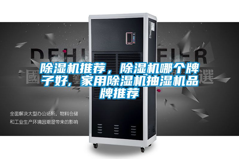 除濕機(jī)推薦，除濕機(jī)哪個牌子好, 家用除濕機(jī)抽濕機(jī)品牌推薦
