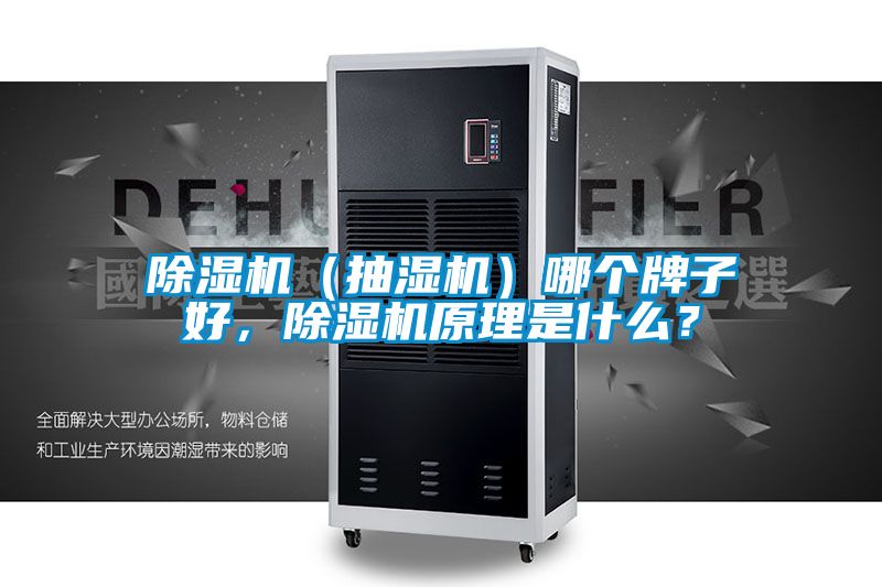 除濕機(jī)（抽濕機(jī)）哪個(gè)牌子好，除濕機(jī)原理是什么？