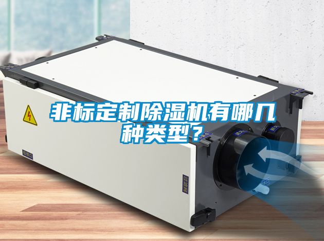 非標(biāo)定制除濕機(jī)有哪幾種類型？