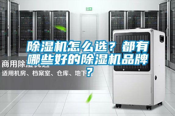 除濕機(jī)怎么選？都有哪些好的除濕機(jī)品牌？