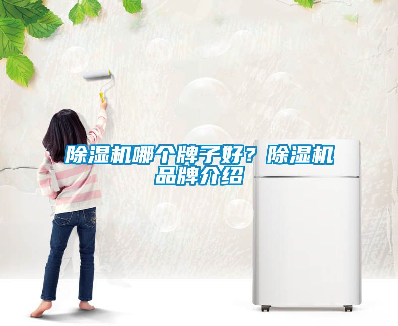 除濕機(jī)哪個(gè)牌子好？除濕機(jī)品牌介紹