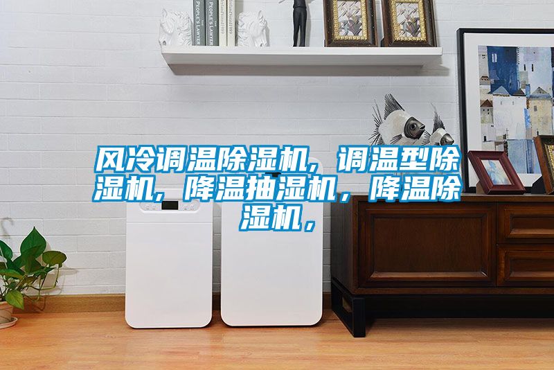 風(fēng)冷調(diào)溫除濕機(jī), 調(diào)溫型除濕機(jī), 降溫抽濕機(jī)，降溫除濕機(jī)，
