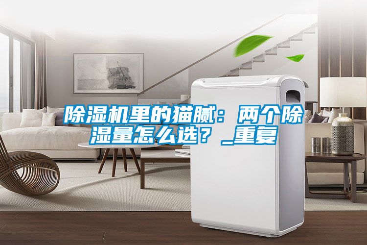 除濕機里的貓膩：兩個除濕量怎么選？_重復(fù)