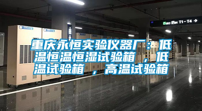重慶永恒實(shí)驗(yàn)儀器廠(chǎng)：低溫恒溫恒濕試驗(yàn)箱 , 低溫試驗(yàn)箱 , 高溫試驗(yàn)箱