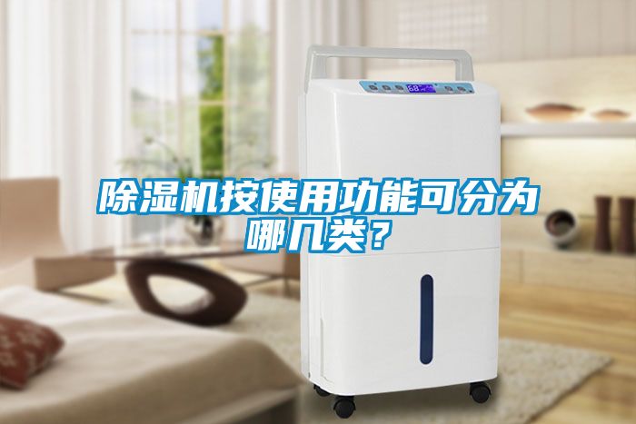 除濕機按使用功能可分為哪幾類？