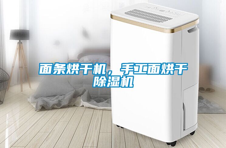 面條烘干機(jī)，手工面烘干除濕機(jī)
