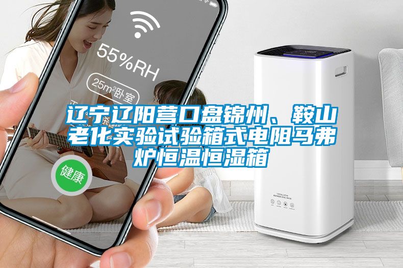 遼寧遼陽營口盤錦州、鞍山老化實驗試驗箱式電阻馬弗爐恒溫恒濕箱
